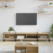 Cabinet TV Sonoma 170.5 x 36 x 30.5 cm Lemn compozit - WALTI WALTI