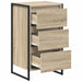 Bufet cu sertar Sonoma 42 x 36 x 75.5 cm Lemn compozit - WALTI WALTI