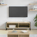 Cabinet TV Sonoma 100 x 36.5 x 30.5 cm Lemn compozit - WALTI WALTI