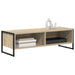 Cabinet TV Sonoma 100 x 36.5 x 30.5 cm Lemn compozit - WALTI WALTI