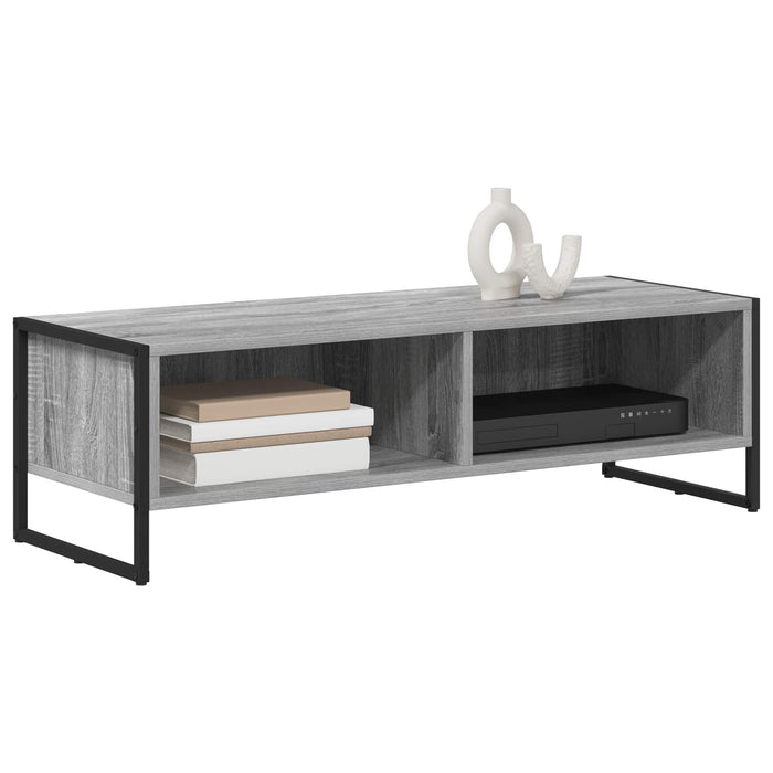 Cabinet TV Gri Sonoma 100 x 36.5 x 30.5 cm Lemn compozit - WALTI WALTI