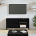 Cabinet TV Stejar Negru 100 x 36 x 49,5 cm Lemn compozit - WALTI WALTI