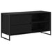 Cabinet TV Stejar Negru 100 x 36 x 49,5 cm Lemn compozit - WALTI WALTI