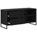Cabinet TV Stejar Negru 100 x 36 x 49,5 cm Lemn compozit - WALTI WALTI