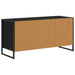 Cabinet TV Stejar Negru 100 x 36 x 49,5 cm Lemn compozit - WALTI WALTI