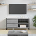 Cabinet TV Gri Sonoma 100 x 36 x 49,5 cm Lemn compozit - WALTI WALTI