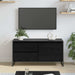 Cabinet TV Stejar Negru 100 x 36 x 49.5 cm Lemn compozit - WALTI WALTI