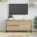 Cabinet TV cu sertar Sonoma 100 x 36 x 49.5 cm Lemn compozit - WALTI WALTI