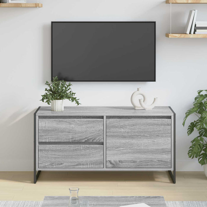 Cabinet TV Gri Sonoma 100 x 36 x 49.5 cm Lemn compozit - WALTI WALTI