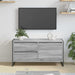Cabinet TV Gri Sonoma 100 x 36 x 49.5 cm Lemn compozit - WALTI WALTI