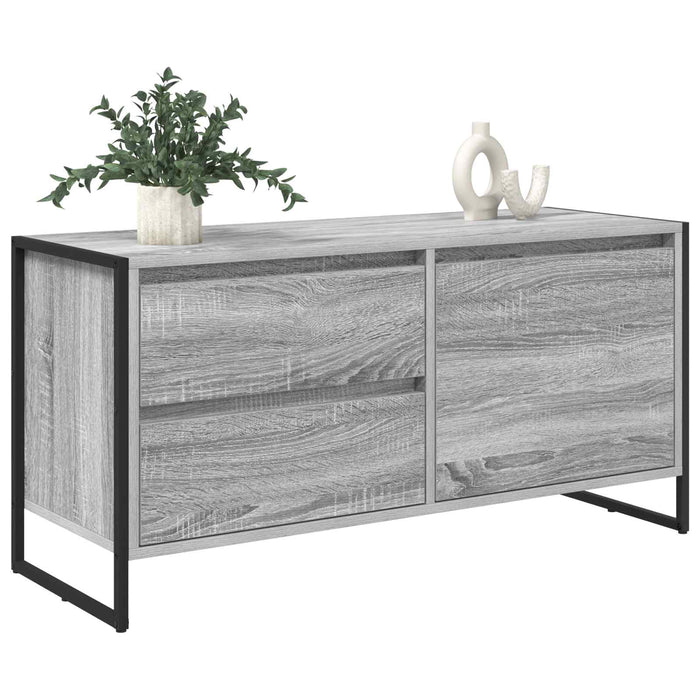 Cabinet TV Gri Sonoma 100 x 36 x 49.5 cm Lemn compozit - WALTI WALTI