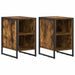 Noptieră 2 pcs Stejar Fumuriu 39.5 x 30 x 50 cm Lemn compozit - WALTI WALTI