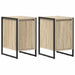 Noptieră 2 pcs Sonoma 39,5 x 30 x 50 cm Lemn compozit - WALTI WALTI