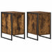 Noptieră 2 pcs Stejar fumuriu 39,5 x 30 x 50 cm Lemn compozit - WALTI WALTI