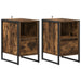 Noptieră 2 pcs Stejar fumuriu 39,5 x 30 x 50 cm Lemn compozit - WALTI WALTI