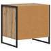 Noptieră 2 pcs Stejar artizanal 50 x 39,5 x 50 cm Lemn compozit - WALTI WALTI