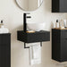 Basin de spălare montat pe perete Negru 40 x 35 x 39 cm - WALTI WALTI