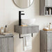 Basin de spălare montat pe perete Sonoma gri 40 x 35 x 39 cm - WALTI WALTI
