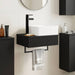 Basin de spălare montat pe perete Negru 50 x 41 x 39 cm - WALTI WALTI