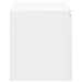 Dulap Bathroom Montat pe Perete Alb 62,5 x 44,5 x 50 cm - WALTI WALTI