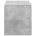 Dulap Bathroom Montat pe Perete Gri Beton 62,5 x 44,5 x 50 cm - WALTI WALTI