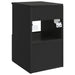 Dulap de Baie Negru 30 x 41 x 50 cm Lemn prelucrat - WALTI WALTI