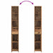 Dulap de Baie Lemn vechi 30 x 33 x 190 cm Lemn prelucrat - WALTI WALTI