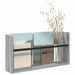 Raft pentru reviste Gri Sonoma 60 x 12 x 30 cm Lemn compozit - WALTI WALTI