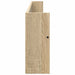 Raft pentru reviste cu raft Stejar Sonoma 100 x 12 x 30 cm - WALTI WALTI