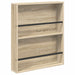 Raft pentru reviste Stejar Sonoma 60 x 12 x 70 cm Lemn compozit - WALTI WALTI
