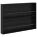 Raft pentru reviste cu raft 2 pcs Stejar Negru 100 x 12 x 70 cm - WALTI WALTI