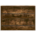 Raft pentru reviste cu raft Stejar fumuriu 100 x 12 x 70 cm - WALTI WALTI