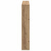 Raft pentru reviste cu raft Stejar Artizanal 100 x 12 x 70 cm - WALTI WALTI
