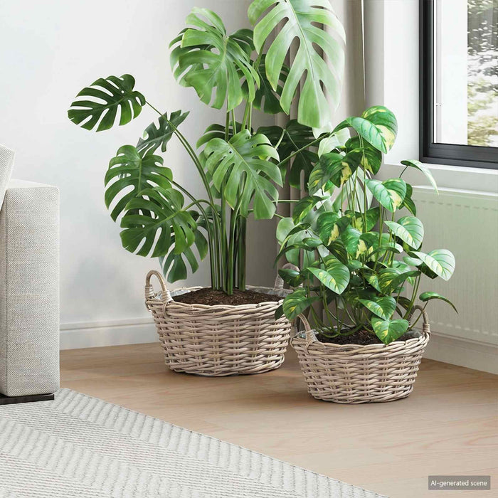 Coș pentru plante cu depozitare 2 pcs Gri Ratan Lacak - WALTI WALTI