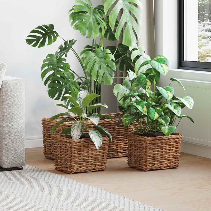Coș pentru plante cu depozitare 3 pcs Maro Ratan Kubu - WALTI WALTI