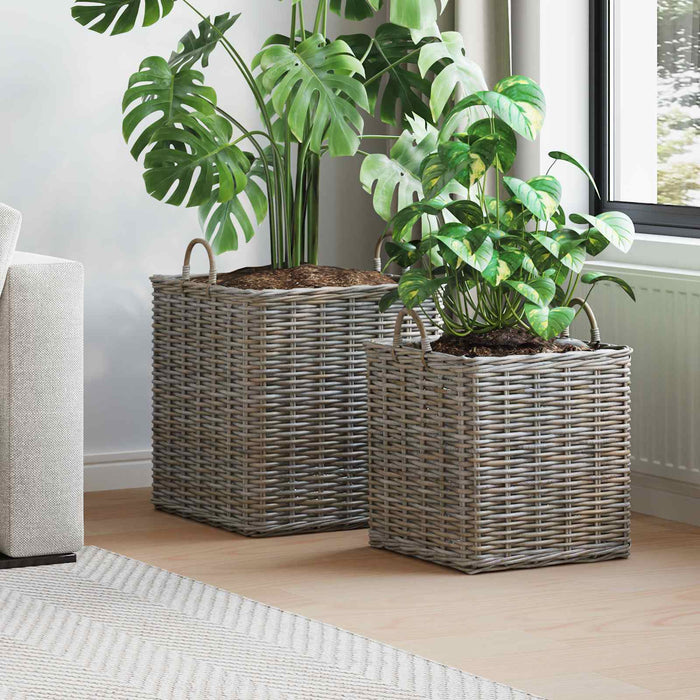Coș pentru plante cu depozitare 2 pcs Gri Ratan Lacak - WALTI WALTI