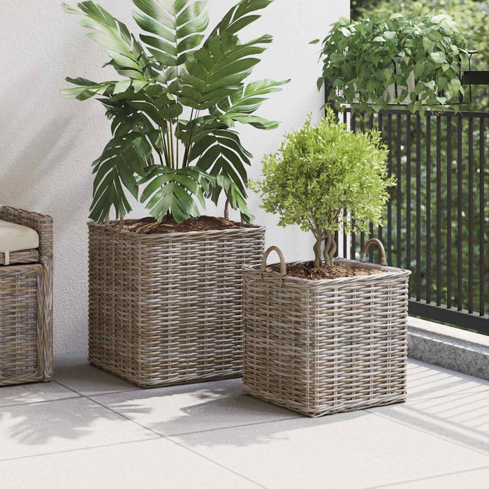 Coș pentru plante cu depozitare 2 pcs Gri Ratan Lacak - WALTI WALTI