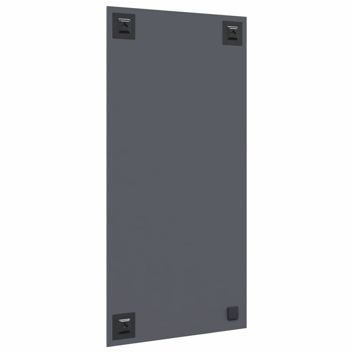 Ogledna de perete Dreptunghiular 30 x 60 cm sticlă securizată WALTI