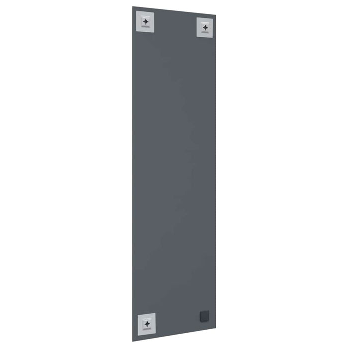 Ogledna de perete Dreptunghiular 30 x 100 cm sticlă securizată - WALTI WALTI