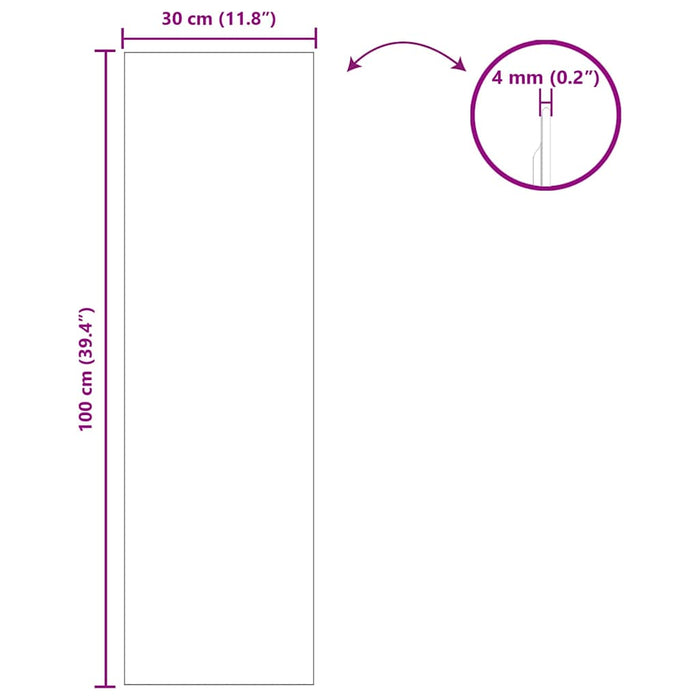 Ogledna de perete Dreptunghiular 30 x 100 cm sticlă securizată - WALTI WALTI