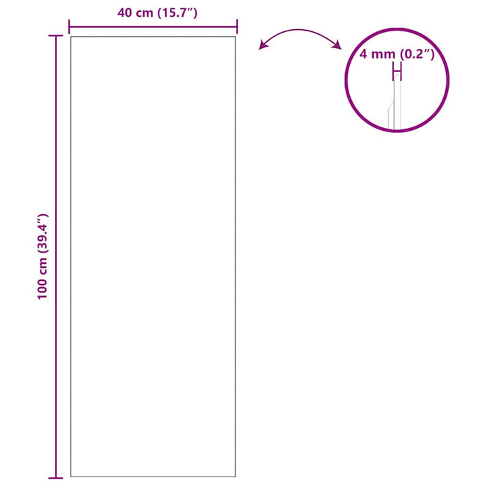 Ogledna de perete Dreptunghiular 40 x 100 cm sticlă securizată - WALTI WALTI