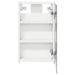 Dulap cu oglindă pentru baie cu raft Alb 30 x 10,5 x 50 cm - WALTI WALTI