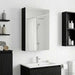Dulap cu oglindă pentru baie Stejar Negru 30 x 10,5 x 50 cm - WALTI WALTI