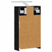 Dulap cu oglindă pentru baie Stejar Negru 30 x 10,5 x 50 cm - WALTI WALTI