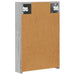 Dulap cu oglindă pentru baie Gri Sonoma 40 x 10,5 x 60,5 cm - WALTI WALTI