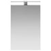 Dulap cu oglindă pentru baie Gri din beton 40 x 10,5 x 60,5 cm - WALTI WALTI