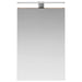 Dulap cu oglindă pentru baie Stejar fumuriu 40 x 10,5 x 60,5 cm - WALTI WALTI