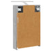 Dulap cu oglindă pentru baie Gri Sonoma 40 x 10,5 x 60,5 cm - WALTI WALTI