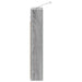 Dulap cu oglindă pentru baie Gri Sonoma 40 x 10,5 x 60,5 cm - WALTI WALTI