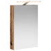Dulap cu oglindă pentru baie Lemn vechi 40 x 10,5 x 60,5 cm - WALTI WALTI
